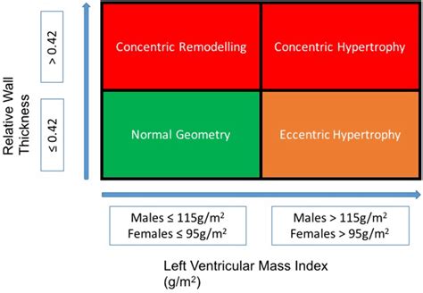 lv geometry|lv geometry calculator.